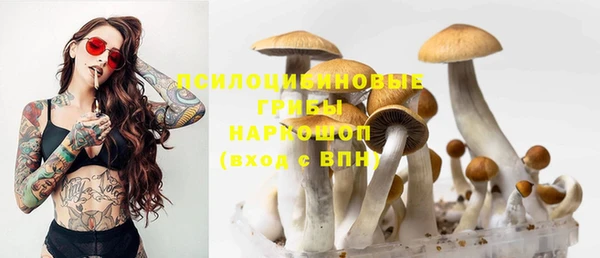 хмурый Киренск