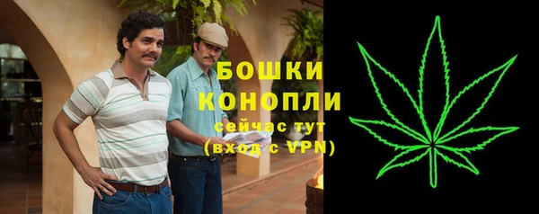 шишки Кинешма
