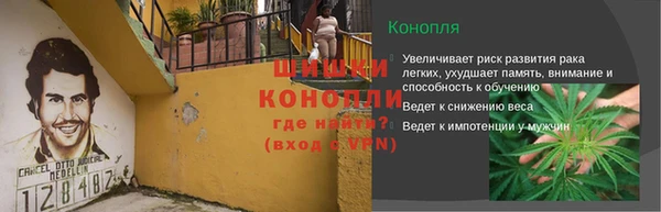 шишки Кинешма