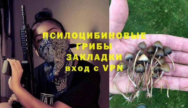 шишки Кинешма