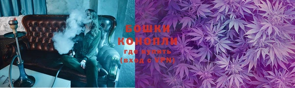 шишки Кинешма